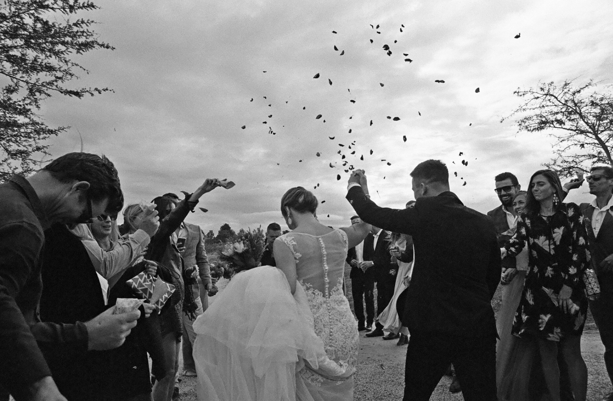 Photo by Zed Jameson