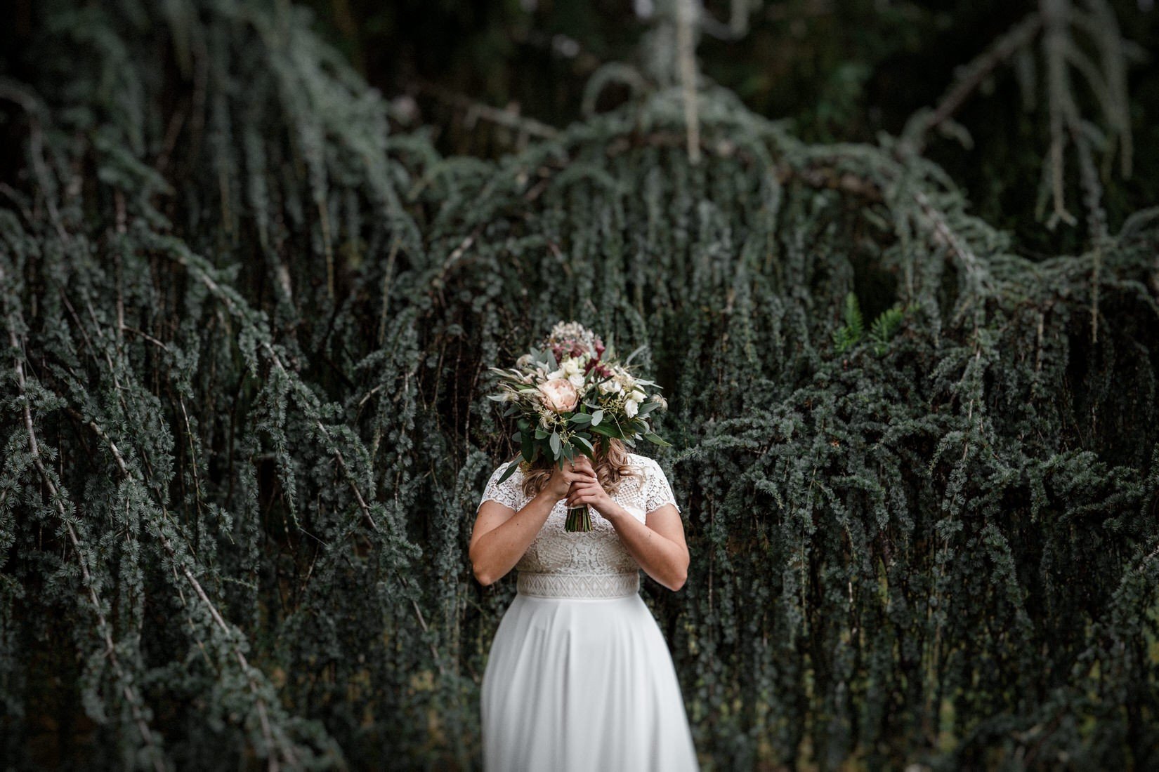 Photo by Daniel Lage