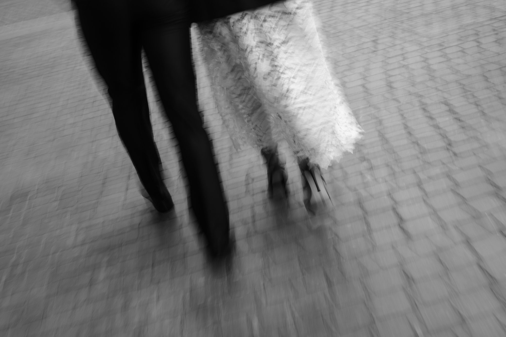 Photo by Pedro Moreira