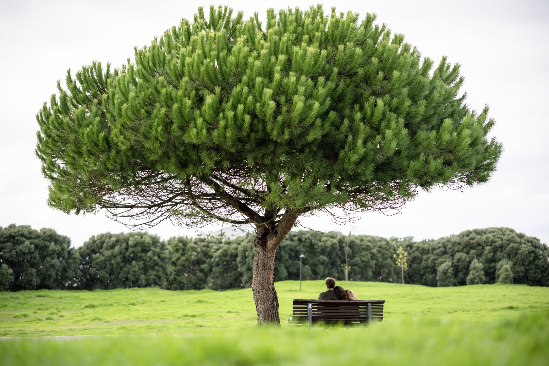 Photo by Gonçalo Feyo