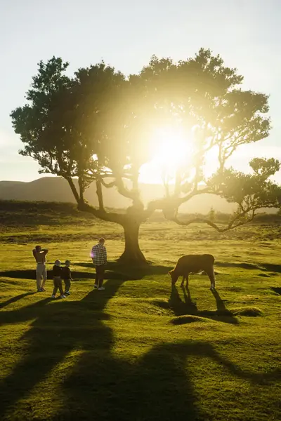 Family photoshoot in Madeira by Daria Zolotova