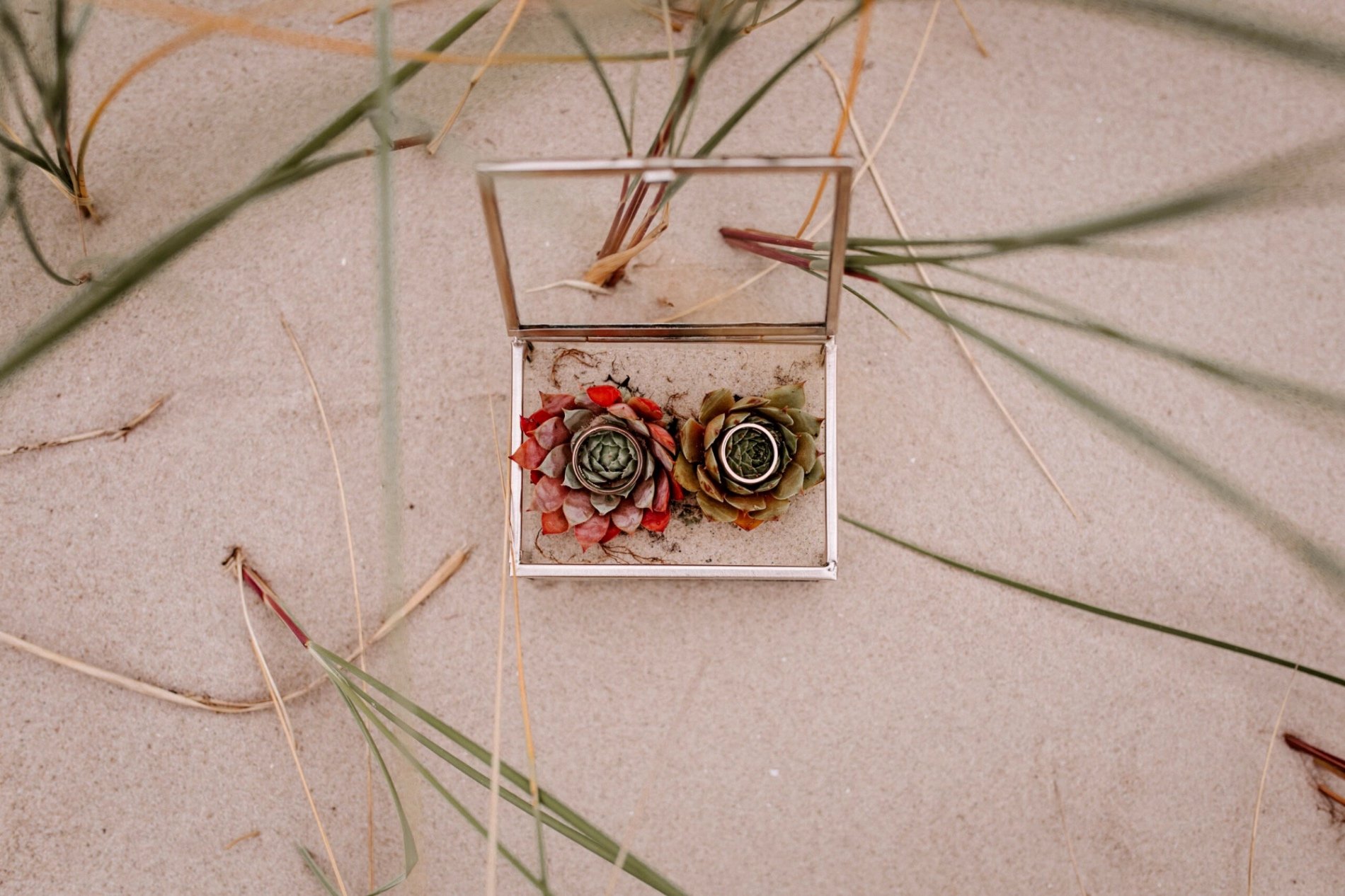 Full Wedding Story — sample 7