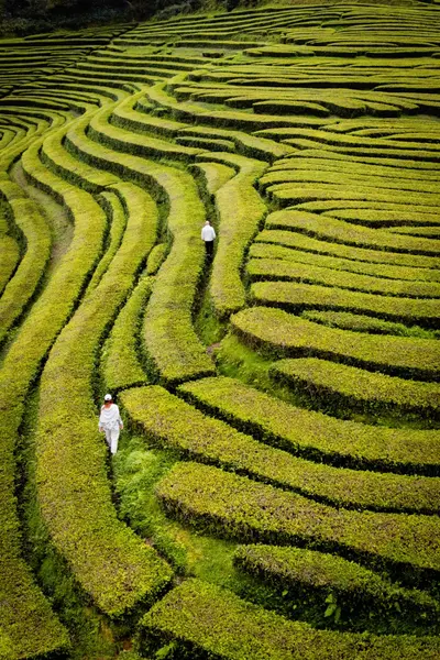 Couples photoshoot in Azores by Hugo Mendes
